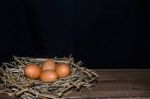 Chicken Eggs Stock Photo