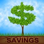 Savings Tree Shows United States And Banking Stock Photo