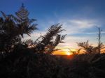 Sunset Over The Ashdown Forest In Sussex Stock Photo