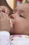 Bottle Feeding Stock Photo