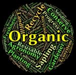 Organic Word Representing Healthy Biotic And Natural Stock Photo