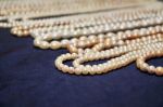 White Pearl Necklace Stock Photo