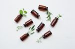 Top View, Bottle Of Essential Oil With Herbs Stock Photo