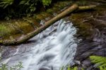 Liffey Falls In The Midlands Region, Tasmania Stock Photo