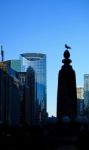 Seagull  And Chicago Skyline Stock Photo