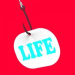 Life On Hook Shows Happy Lifestyle Or Prosperity Stock Photo