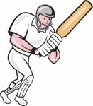 Cricket Player Batsman Batting Cartoon Stock Photo