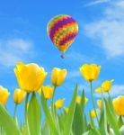 Balloon With Yellow Tulips Stock Photo