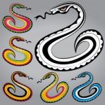 Snake Body Silhouette Design  Illustration Stock Photo