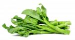 Kale Vegetable Isolated On The White Background Stock Photo