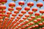 Chinese Paper Lantern Stock Photo