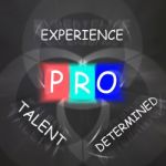 Pro On Blackboard Displays Great Experience And Excellence Stock Photo