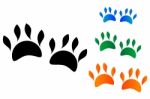 Colored Animal Paw Stock Photo