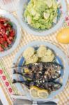 Atlantic Horse Mackerel Meal Stock Photo