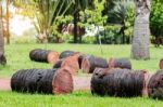 Palm Trees Are Cut On Lawns Stock Photo