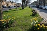 Sunny Spring Day In Moreton-in-marsh Stock Photo