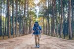 Hiking Man With Backpack Walking In Forest Stock Photo