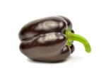 Sweet Pepper Stock Photo