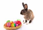 Rabbit With Easter Eggs Isolated On White Background Stock Photo