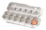 One Single Egg Stock Photo