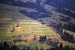 Spring Green Hillsides. Sunny Sping In Mountains Stock Photo