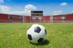 Soccer Ball Stock Photo