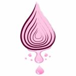 Onion With Dripping Liquid Stock Photo