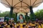 Primary Students Visit The Zoo, In The Jul 27, 2016. Bangkok Thailand Stock Photo