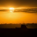 Agriculture Machine Harvesting Field Stock Photo