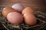 Fresh Eggs On Dry Rice Leaves Straw Stock Photo