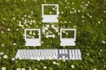 Computer Network In Garden Stock Photo