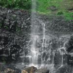 Purlingbrook Falls In Springbrook Stock Photo