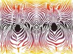 Zebra Abstract Pattern Background Stock Photo