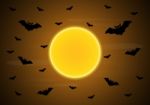 Halloween Moon Bat  Stock Photo