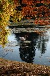 Autumn Stock Photo