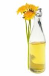 Dandelion Wine Stock Photo