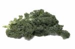 Curly Leaf Kale Stock Photo