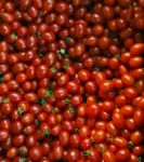 Close Up Group Of Red Tomatoes On Ground Use For Beautiful Backg Stock Photo