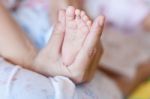 Newborn Baby Feet Stock Photo