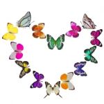 Butterfly Heart Stock Photo