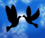 Peace Doves Indicates Flock Of Birds And Wildlife Stock Photo