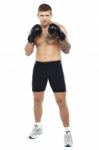 Young Boxer Ready To Punch Stock Photo