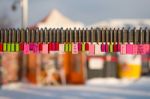 Seoul - February 29 : Love Padlocks At N Seoul Tower Or Locks Of Love Is A Custom In Some Cultures Which Symbolize Their Love Will Be Locked Forever At Seoul Tower On February 29,2016 In Seoul,korea Stock Photo