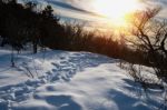 Majestic Sunset In The Winter Mountains Landscape. Dark Tone Stock Photo