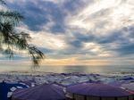 Large Umbrella Crowded Along The Beach Stock Photo