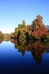 Fall Stock Photo