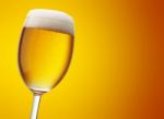 Birra In Bicchiere Elegante Stock Photo