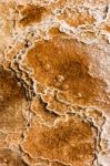 Mammoth Hot Springs Stock Photo