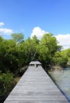 Wooden Bridge For The Walk To The Sea Stock Photo