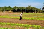 Farmer Working Land Stock Photo